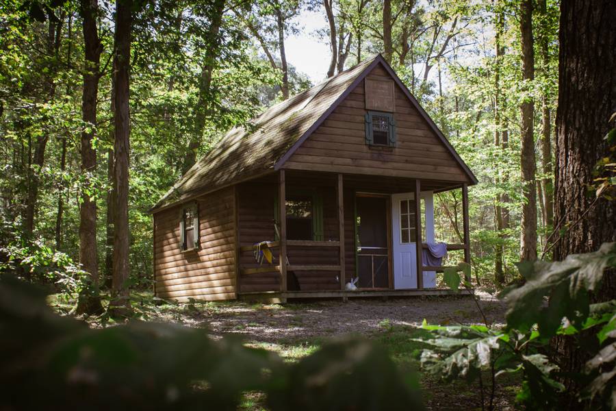 cabin in forest